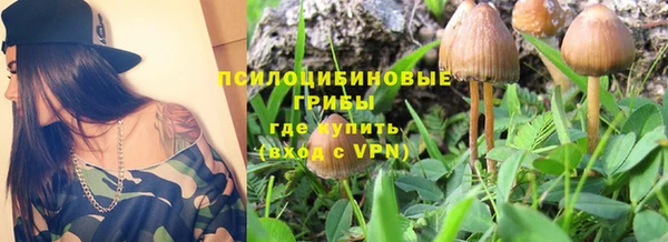 ECSTASY Абдулино