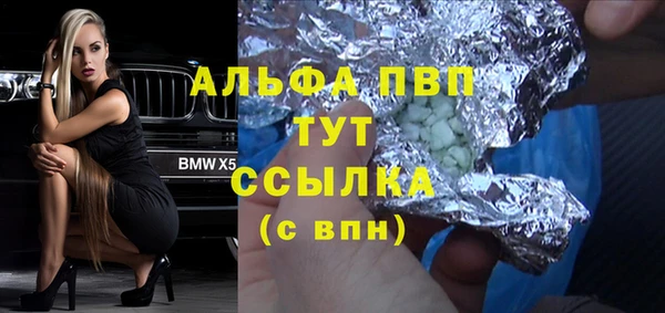 прущий лед Абаза